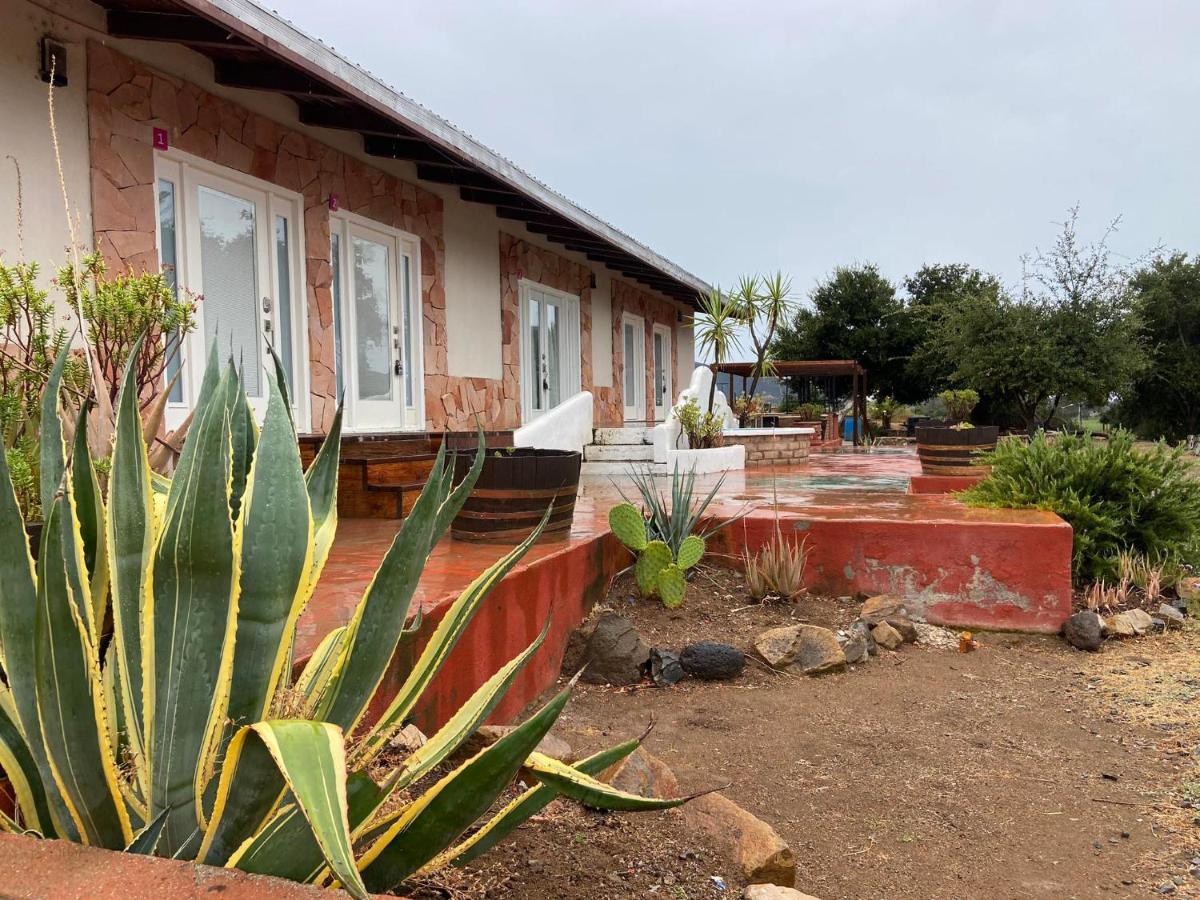 Kalanchoe Poshtel Suites Las Palmas  Eksteriør billede