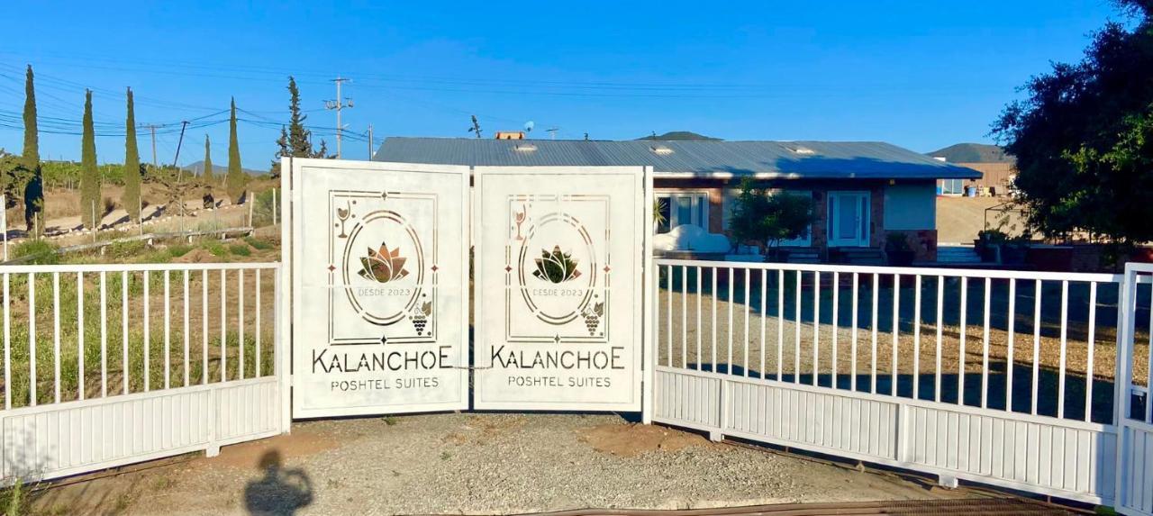 Kalanchoe Poshtel Suites Las Palmas  Eksteriør billede