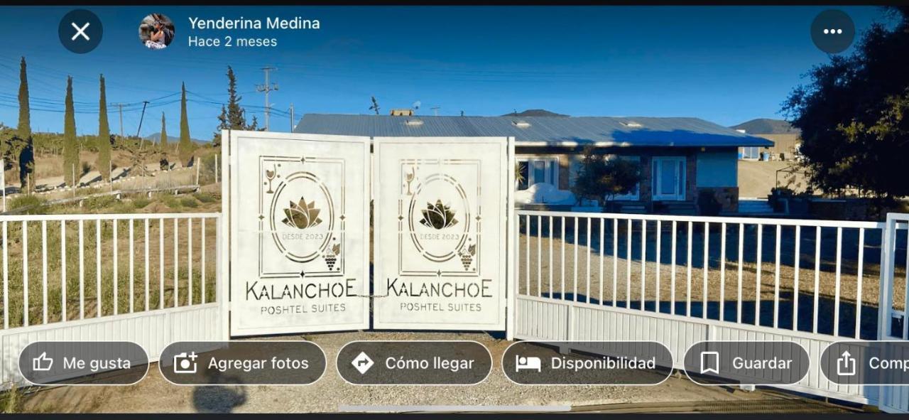 Kalanchoe Poshtel Suites Las Palmas  Eksteriør billede