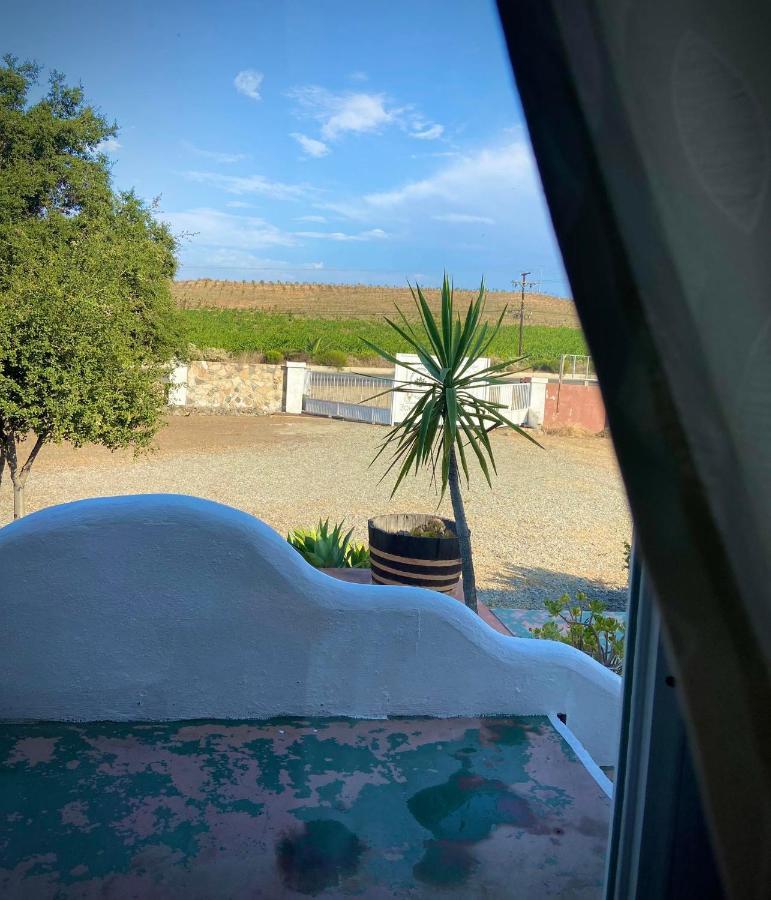 Kalanchoe Poshtel Suites Las Palmas  Eksteriør billede