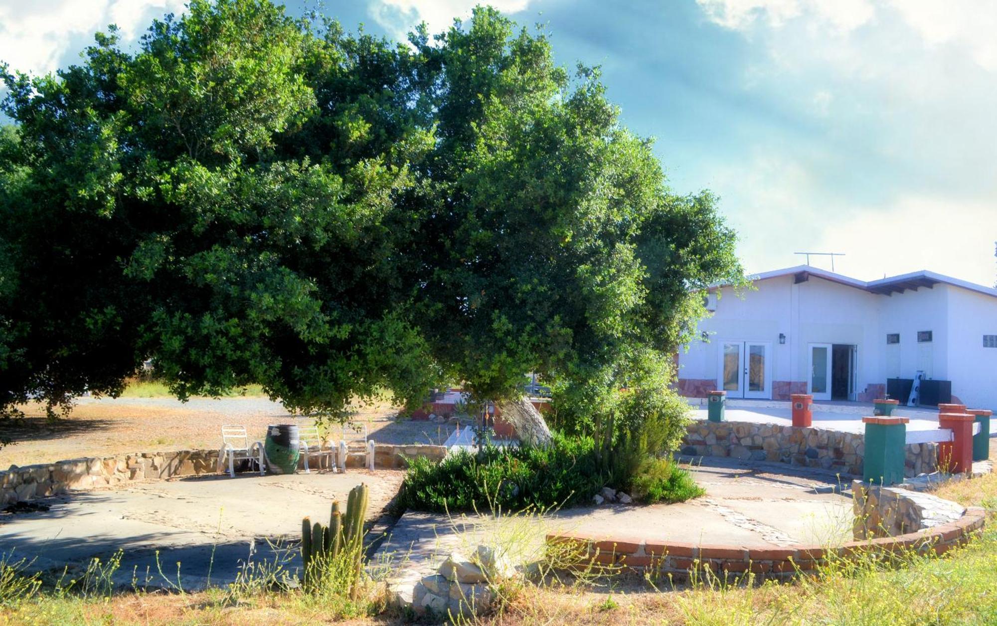 Kalanchoe Poshtel Suites Las Palmas  Eksteriør billede